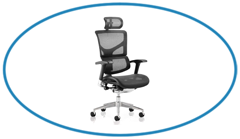 Buy-Mesh-Chairs-Online Buy-Mesh-Chairs-Online